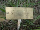 image of grave number 950419